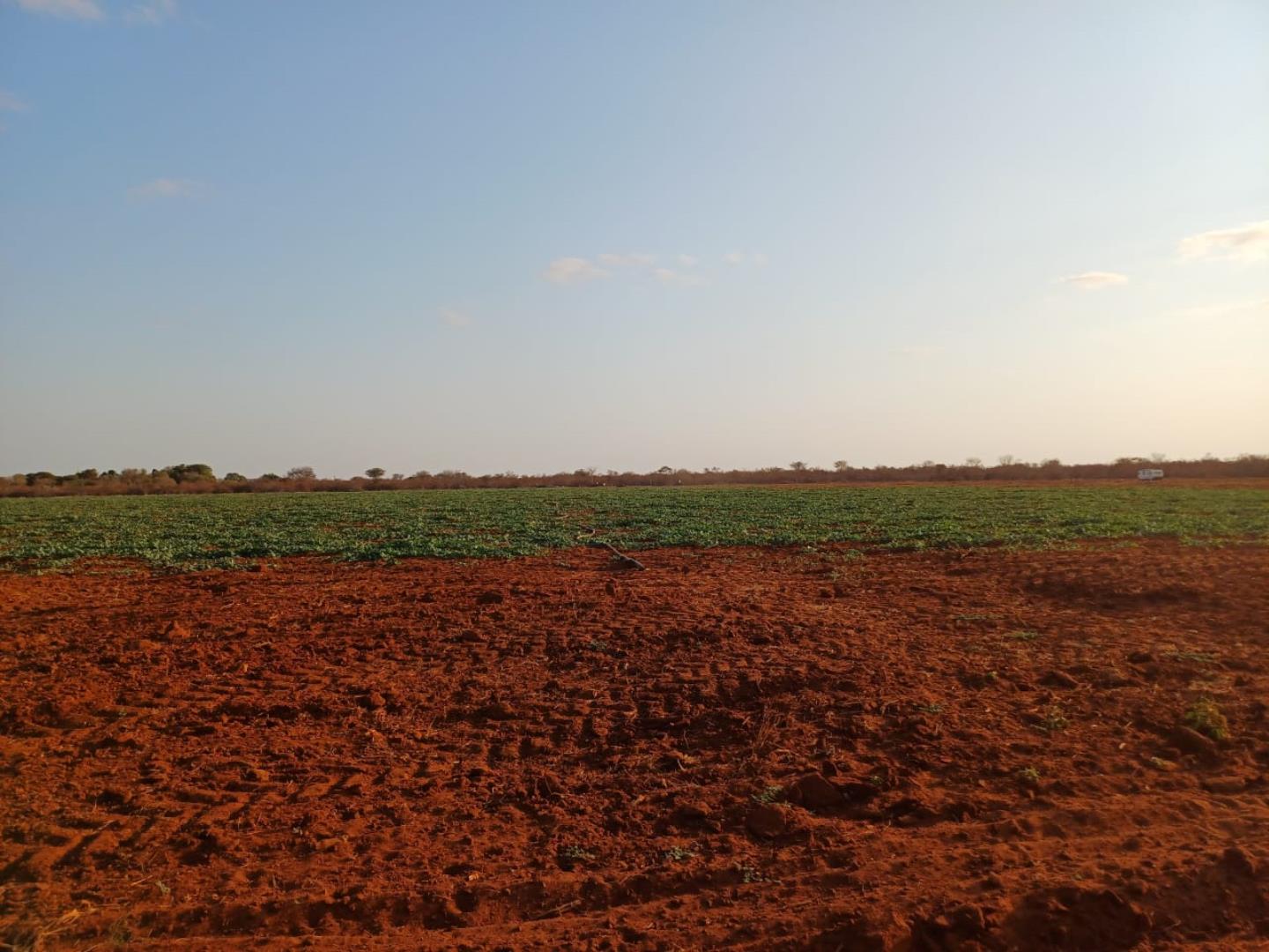 Farm for Sale - Limpopo